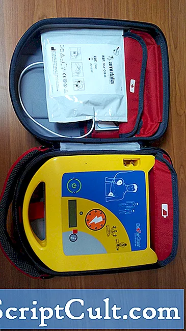 AED-filformatbeskrivelse