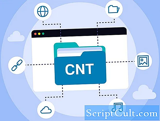 Beschreibung des CNT-Dateiformats