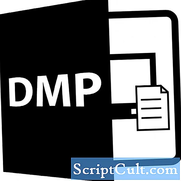 Popis formátu súboru DMP