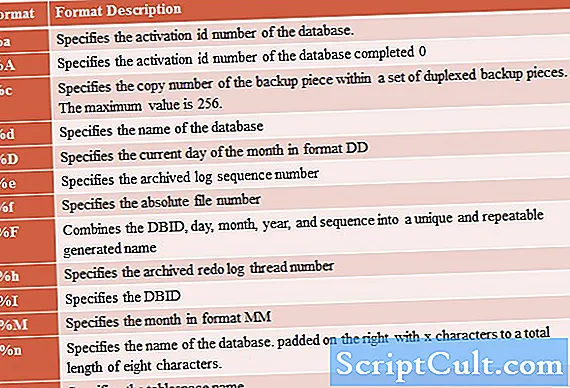Descrizione del formato del file DKS