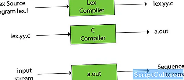 LEX failo formato aprašymas