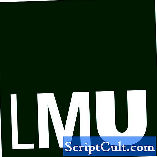 وصف تنسيق ملف LMU