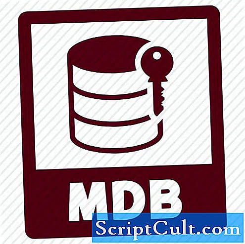 Descrierea formatului de fișier NMDB
