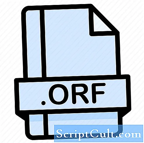 Descrição do formato de arquivo ORF