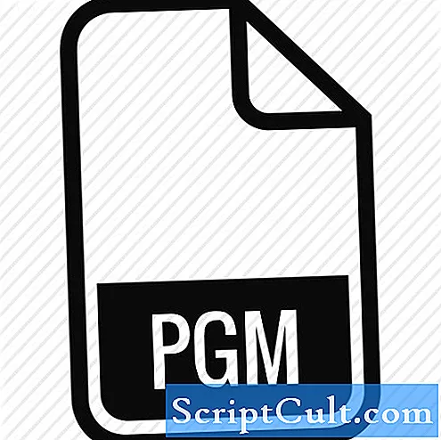 وصف تنسيق ملف PGM