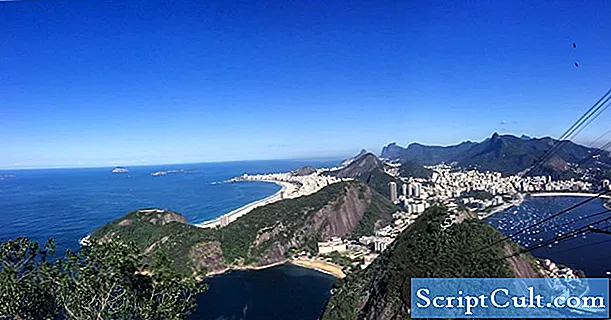 وصف تنسيق ملف RIO