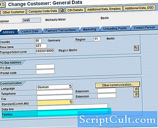 Opis oblike datoteke SAP