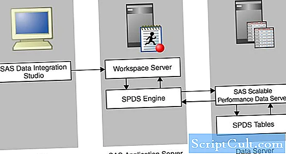 Servidor de datos de rendimiento escalable SAS