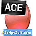 .ACE faila paplašinājums