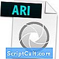 .ARI-filförlängning