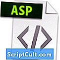 .ASP Расширение файла