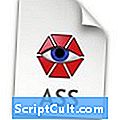 .ASS Dateierweiterung