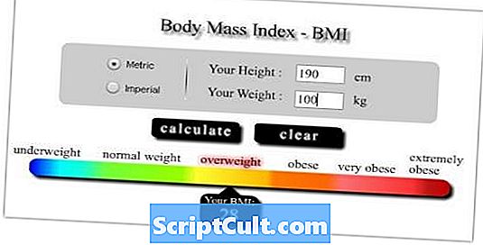 Extensão de arquivo .BMI