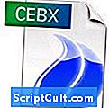 Extension du fichier .CEBX