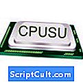 .CPU Estensione file