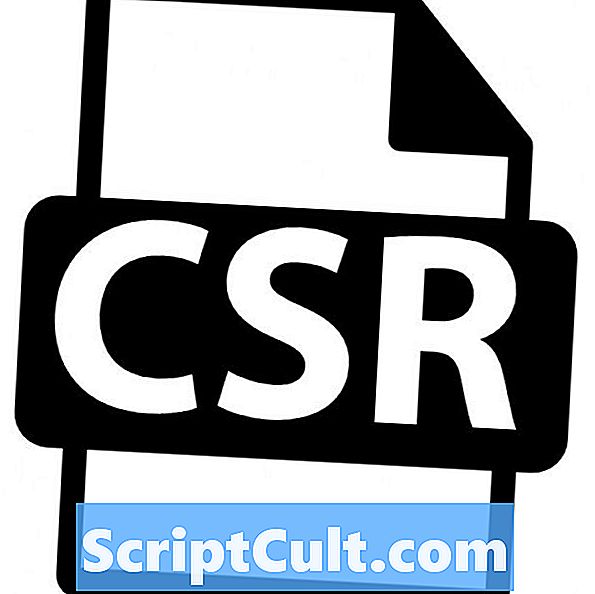 .CSR ekstenzija datoteke