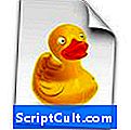 .CYBERDUCKLICENSE File Extension
