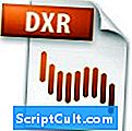 .DXR 파일 확장명