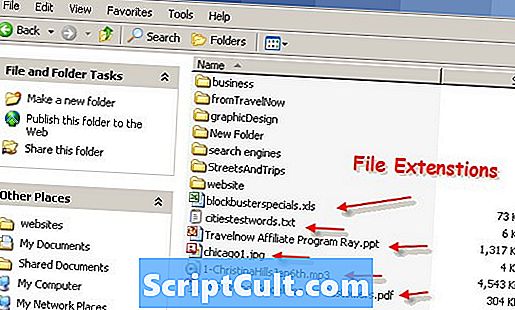 .EXAMPLE File Extension