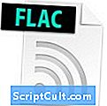 .FLAC přípona souboru