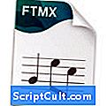 Přípona souboru .FTMX - Rozšíření