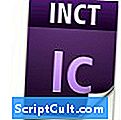 .INCT Prípona súboru