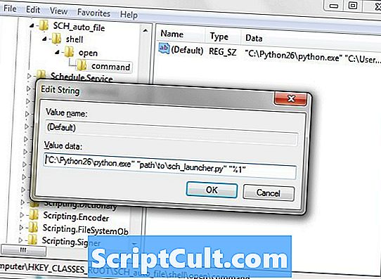 .SCRIPT File Extension