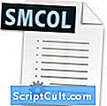 .LRSMCOL failo plėtinys