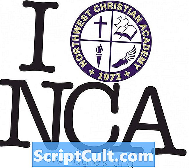 .NCA faila paplašinājums