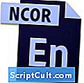 Dateiendung .NCOR - Erweiterung
