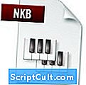 .NKB File Extension