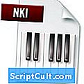 .NKI File Extension