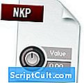 Extension du fichier .NKP