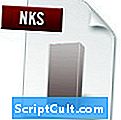 Extensão de arquivo .NKS