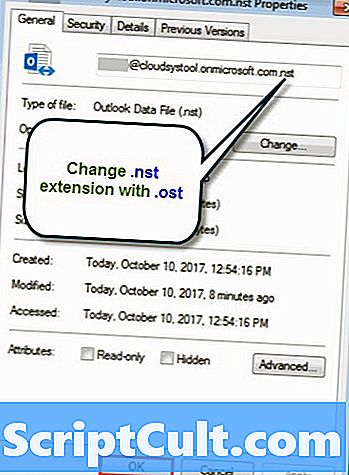 .NST File Extension