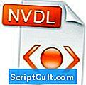 Extension du fichier .NVDL