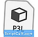 Extension du fichier .P3L