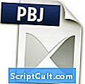Extensão de arquivo .PBJ