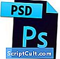 .PDD Extension de fichier