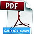 Dateiendung .PDFXML - Erweiterung
