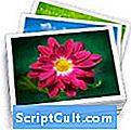 .PHOTOLIBRARY File Extension