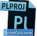.PLPROJ File Extension