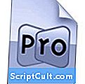 .PRO4 File Extension
