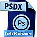 .PSDX razširitev datoteke