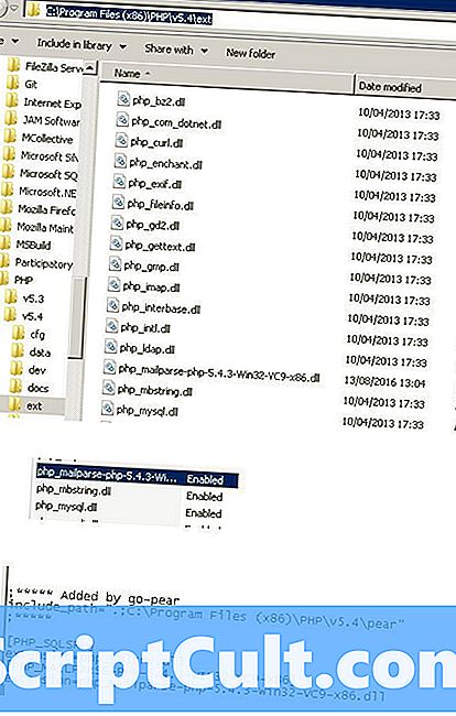 Extension du fichier .RS2