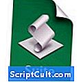 .SCRIPTSUITE Расширение файла