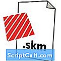 .SKM Расширение файла