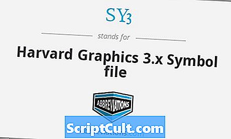 .SY3 Расширение файла