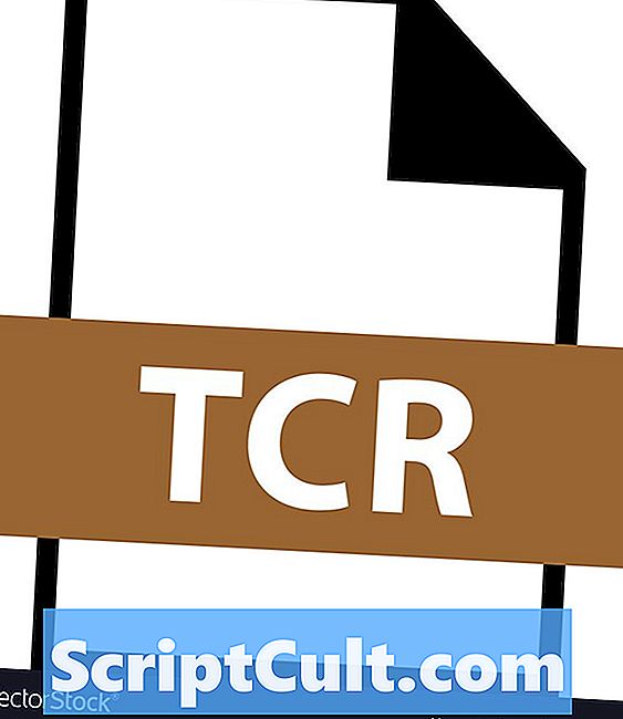 .TCR Extension de fichier