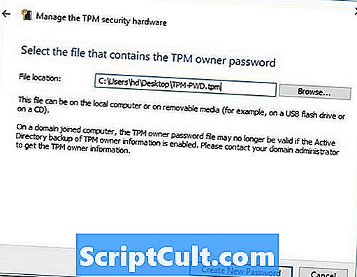 .TPM faila paplašinājums